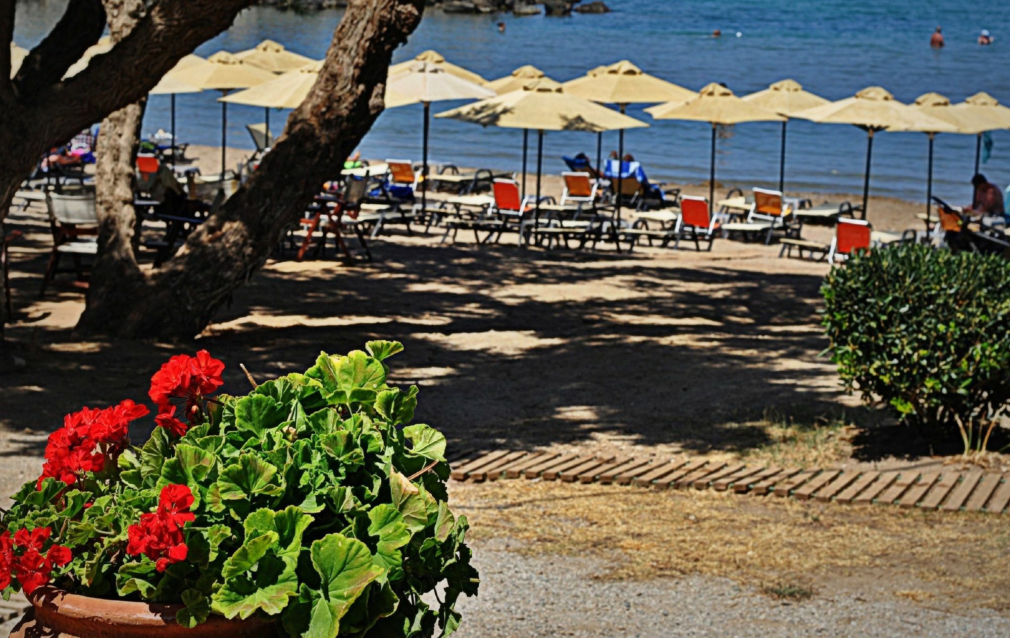 Aphrodite Beach Kíssamos Esterno foto